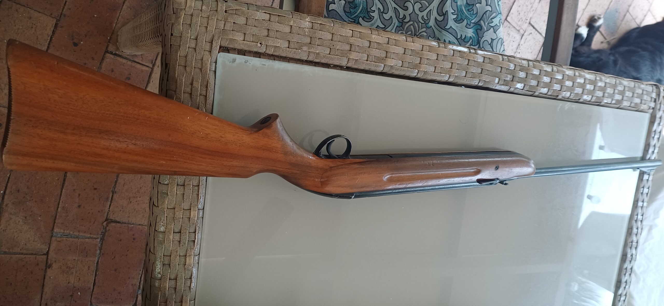 BSA