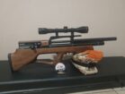 Gamo Furia .177 (4.5mm) PCP Bull PuP 10Shot Bolt Action