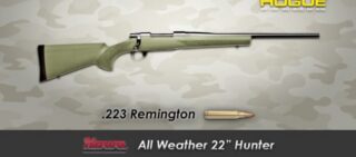 Howa-Remington-223-00